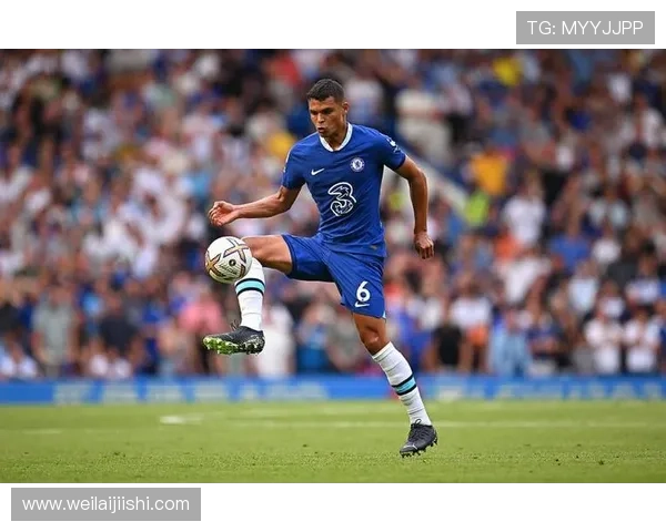 足球明星的独特魅力与必备特征全面解析与探讨